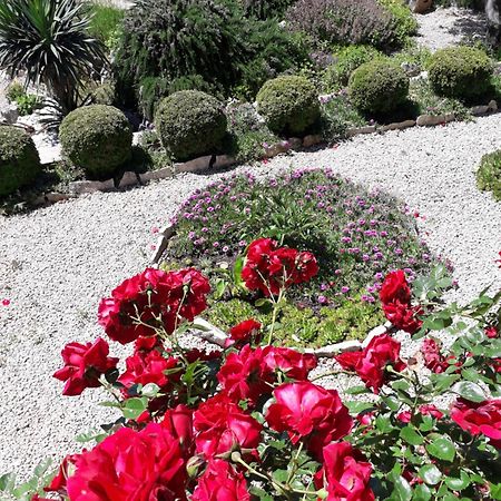 Apartment Pavica Novi Vinodolski Dış mekan fotoğraf